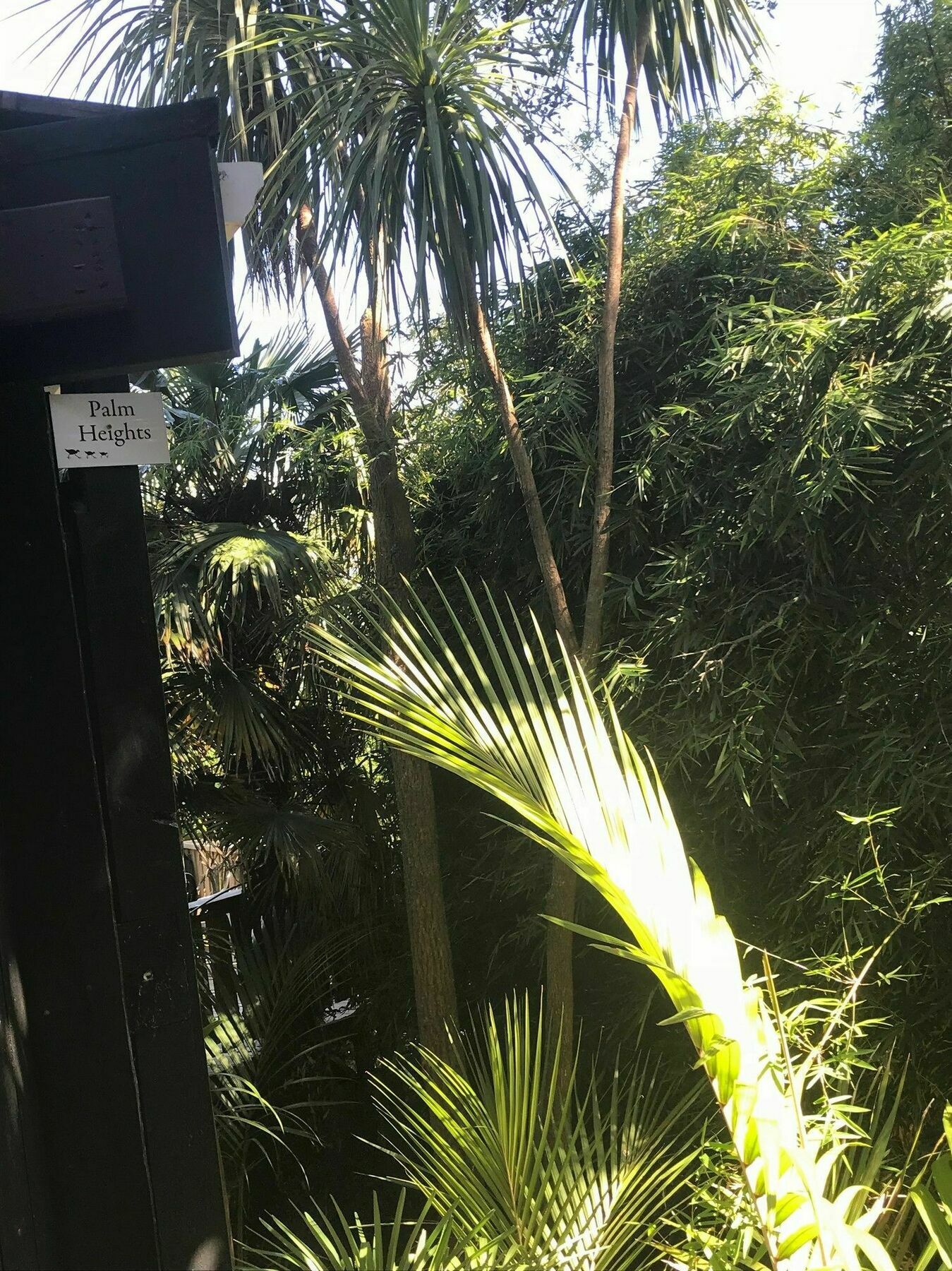 Palm Beach 팜 하이츠 아파트 외부 사진